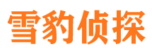 大埔市调查取证